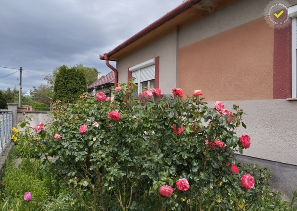 Rodinný dom Čenkovce, krásny pozemok 1109 m2, garáž